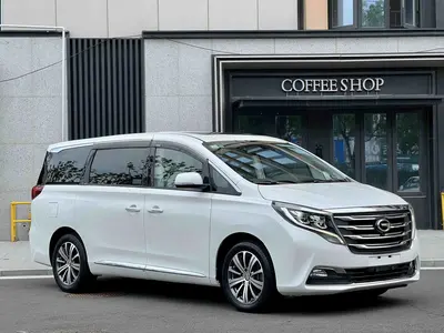 广汽传祺 传祺M8 2018款 320T 尊贵版