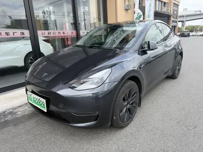 Tesla Model Y 2024 Long RangeAll-wheel drive thumbnail 1