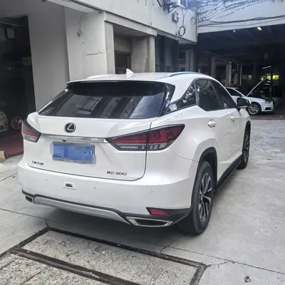 雷克萨斯 RX 2020款 改款 300 两驱精英版 thumbnail 7