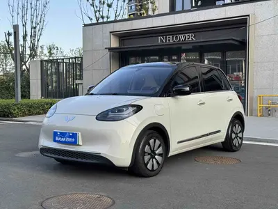 五菱汽车 五菱缤果 2024款 333km 悦享款 thumbnail 3