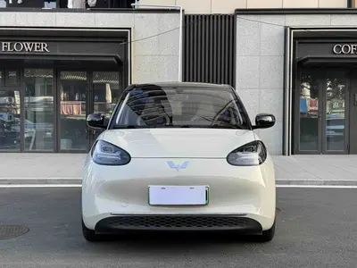 五菱汽车 五菱缤果 2024款 333km 悦享款 thumbnail 4