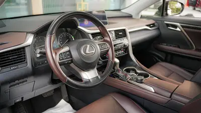 雷克萨斯 RX 2016款 300 两驱舒适版 国V thumbnail 10