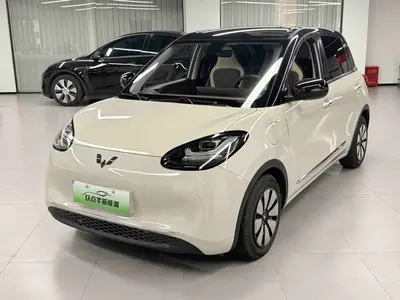 五菱汽车 五菱缤果 2025款 333km 悦享款