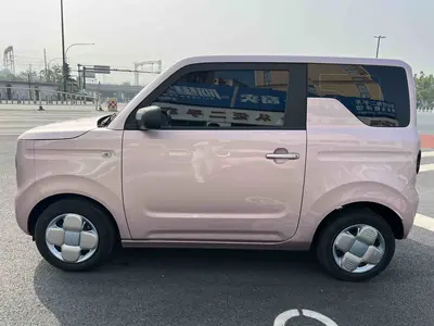 Geely Panda 2025 mini 210km Yuanqi Bear thumbnail 7