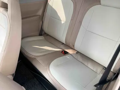 Geely Panda 2025 mini 210km Yuanqi Bear