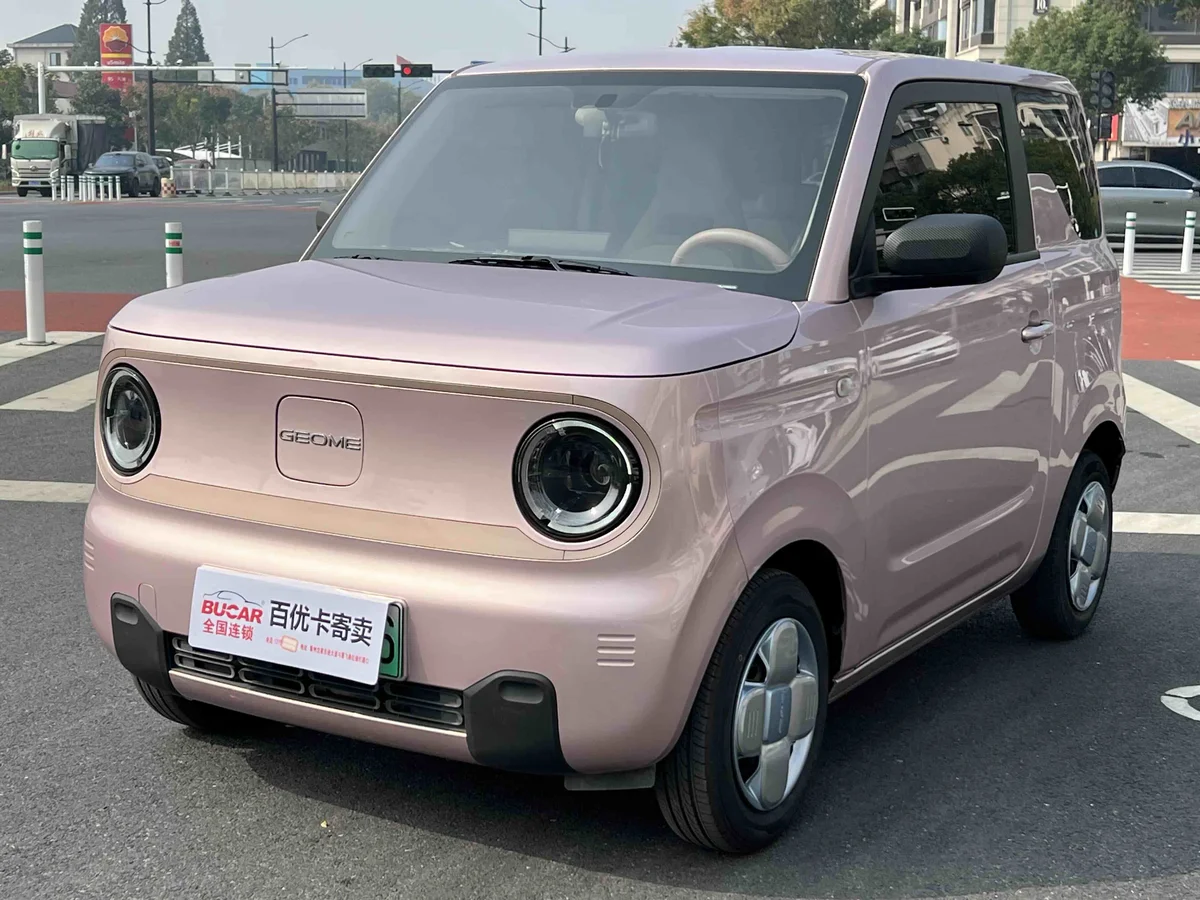 Geely Panda 2025 mini 210km Yuanqi Bear - 1