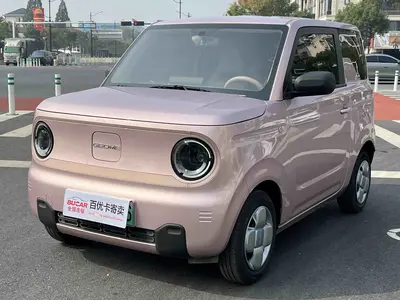 Geely Panda 2025 mini 210km Yuanqi Bear thumbnail 1