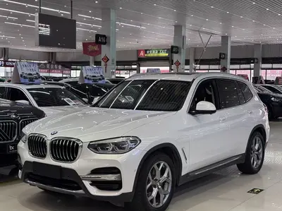 宝马 X3 2019款 xDrive28i 豪华套装 thumbnail 2