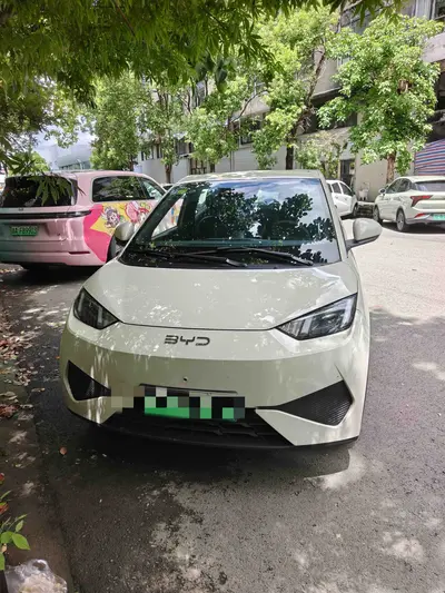比亚迪 海鸥 2026款 305km 活力版