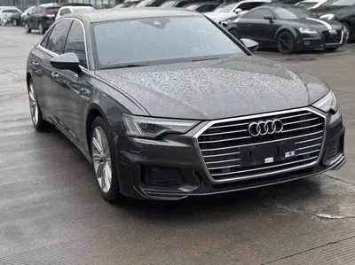 奥迪 A6L 2021款 45 TFSI 臻选动感型 thumbnail 8
