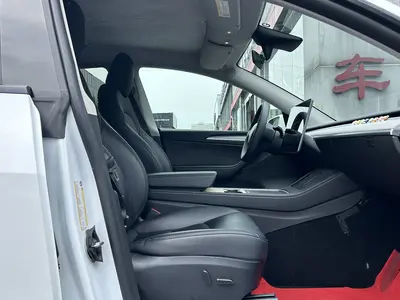 特斯拉 Model Y 2023款 长续航全轮驱动版 thumbnail 11