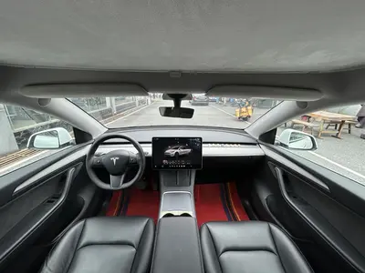 特斯拉 Model Y 2023款 长续航全轮驱动版 thumbnail 12