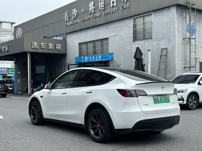 特斯拉 Model Y 2023款 长续航全轮驱动版 thumbnail 13