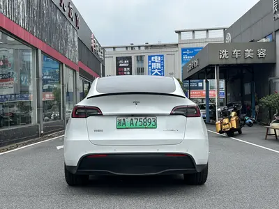 特斯拉 Model Y 2023款 长续航全轮驱动版 thumbnail 14