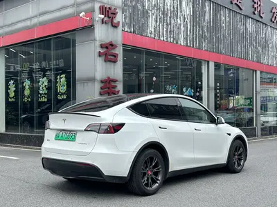 特斯拉 Model Y 2023款 长续航全轮驱动版 thumbnail 15