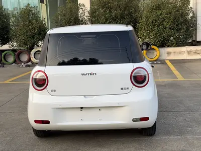 Qiyuan 长安LUMIN 2022 210km Sweet thumbnail 10