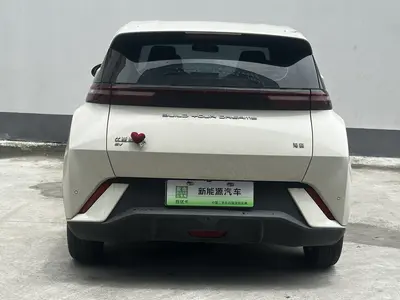 比亚迪 海鸥 2023款 自由版 thumbnail 15