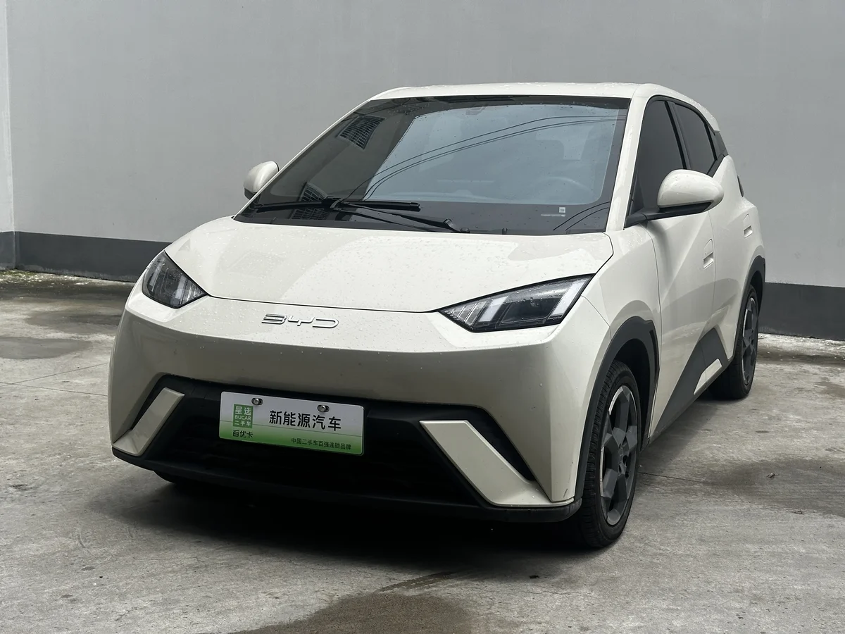 比亚迪 海鸥 2023款 自由版 - 1