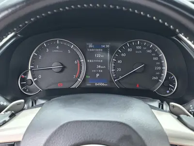 雷克萨斯 RX 2020款 改款 300 两驱精英版 thumbnail 22