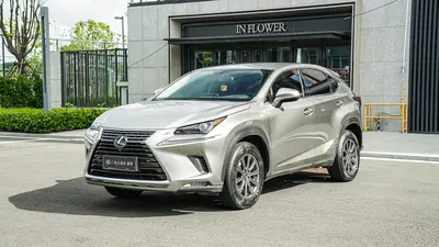 雷克萨斯 NX 2020款 200 前驱 锋行版 国VI thumbnail 1