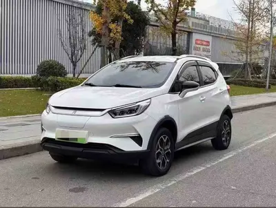 BYD 元新能源 2019 EV535 Intelligent Connectivity Trendsetting Edition