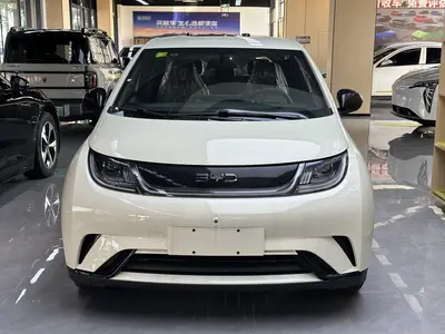 BYD Dolphin 2025 420km Free thumbnail 3