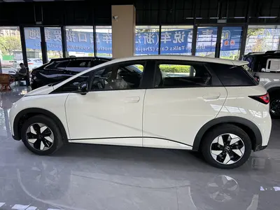BYD Dolphin 2025 420km Free thumbnail 4