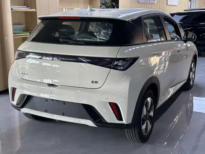 BYD Dolphin 2025 420km Free thumbnail 5