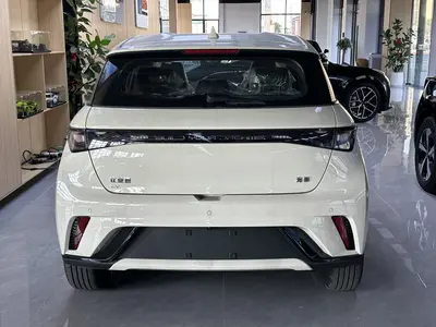 BYD Dolphin 2025 420km Free thumbnail 6