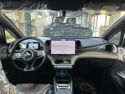 BYD Dolphin 2025 420km Free thumbnail 8