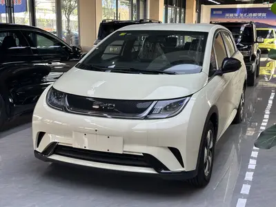 BYD Dolphin 2025 420km Free thumbnail 1