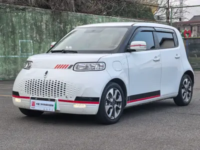 ORA White Cat 2020 305km Luxury