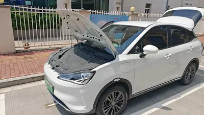 Nezha Neta V 2021 Co-sport Magic