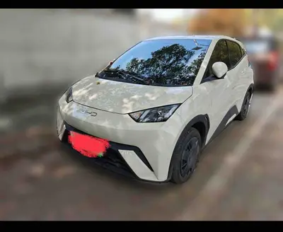 比亚迪 海鸥 2024款 荣耀版 305km 活力版 thumbnail 2