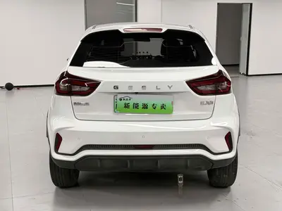 吉利几何 EX3 功夫牛 2021款 坚强牛牛 thumbnail 11