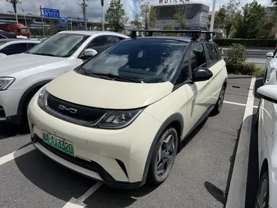 比亚迪 海豚 2021款 405km 时尚版
