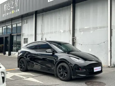 Tesla Model Y 2022 Long RangeAll-wheel drive thumbnail 4