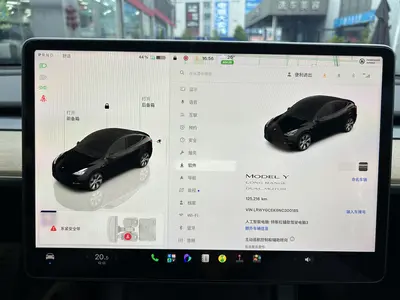 Tesla Model Y 2022 Long RangeAll-wheel drive thumbnail 10