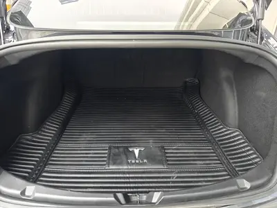 Tesla Model 3 2019 Std Range RWD Plus thumbnail 16
