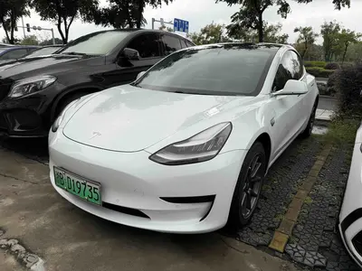 Tesla Model 3 2019 Std Range RWD Plus thumbnail 1