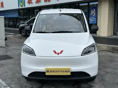五菱汽车 五菱宏光新能源 2024款 纯电版 300KM 标准型 thumbnail 3