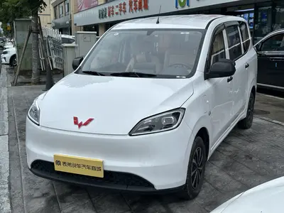 五菱汽车 五菱宏光新能源 2024款 纯电版 300KM 标准型 thumbnail 1