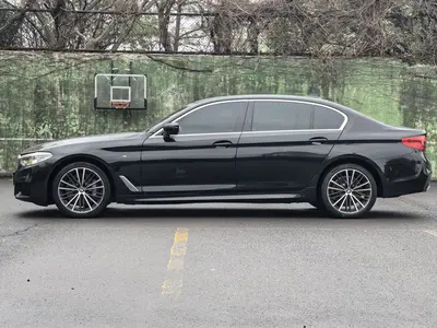 BMW 5 Series 2020 530Li Leading MM Sport