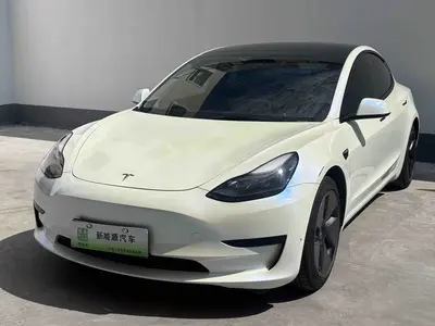 特斯拉 Model 3 2021款 标准续航后驱升级版 3D6 thumbnail 2