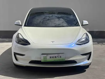 特斯拉 Model 3 2021款 标准续航后驱升级版 3D6 thumbnail 3