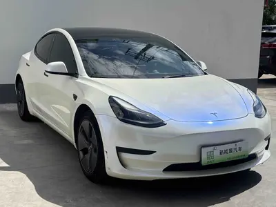 特斯拉 Model 3 2021款 标准续航后驱升级版 3D6 thumbnail 4