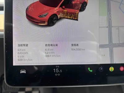特斯拉 Model 3 2021款 标准续航后驱升级版 3D6 thumbnail 6