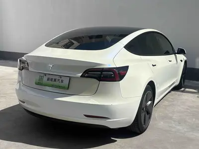 特斯拉 Model 3 2021款 标准续航后驱升级版 3D6 thumbnail 13