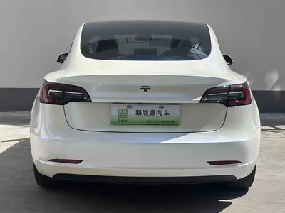 特斯拉 Model 3 2021款 标准续航后驱升级版 3D6 thumbnail 14