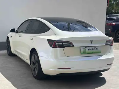 特斯拉 Model 3 2021款 标准续航后驱升级版 3D6 thumbnail 15
